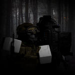 11212313131overload.png