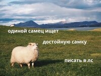 6774ffe8536b9856fb7974e7c7e1cfd0.jpg