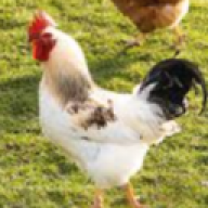 IlyhaSteroid
